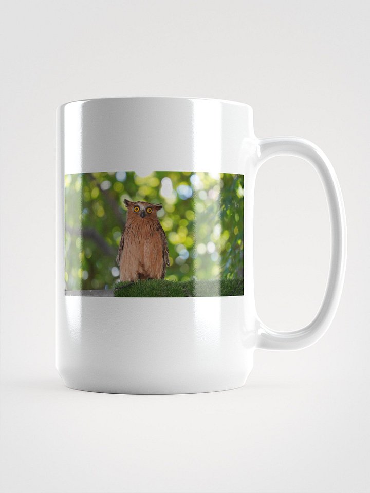 Enchanting Owl Eyes Mug product image (1)