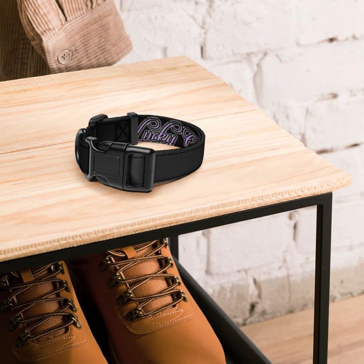lucky Collar product image (1)