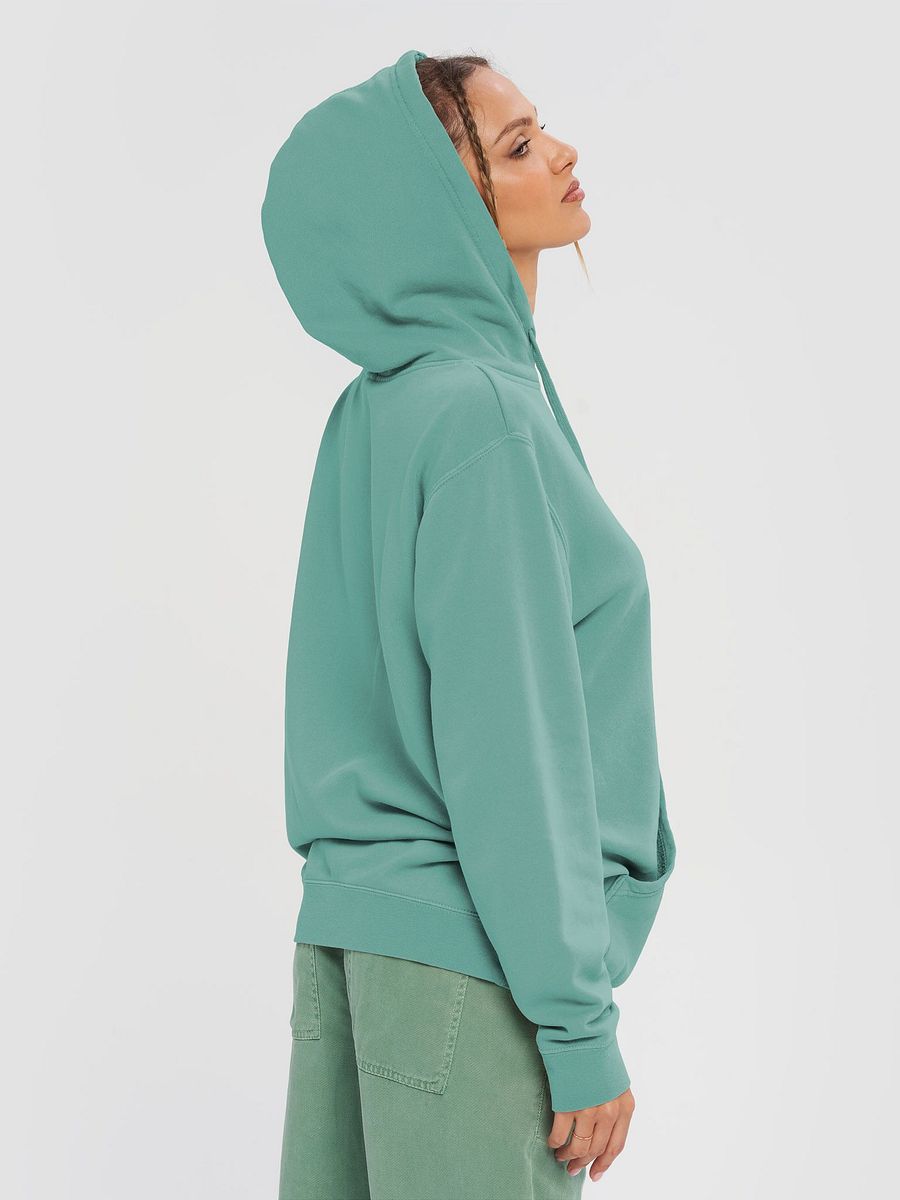 Super Premium Hoodie: Pisces Pooky Vintage Hoodie product image (5)