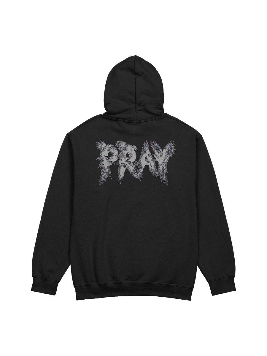 Birds Of Pray Hoodie product image (1)