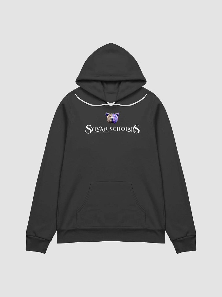 SylvanScholars Hoodie Fitted product image (3)