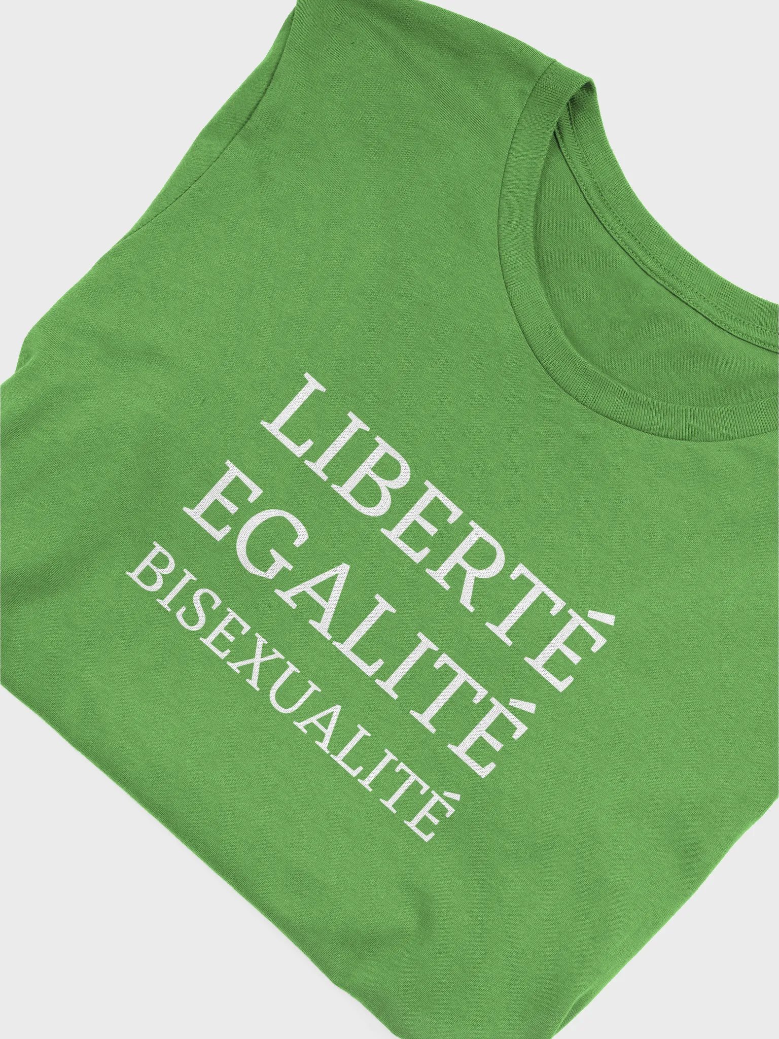 liberte egalite bisexualite t-shirt product image (5)