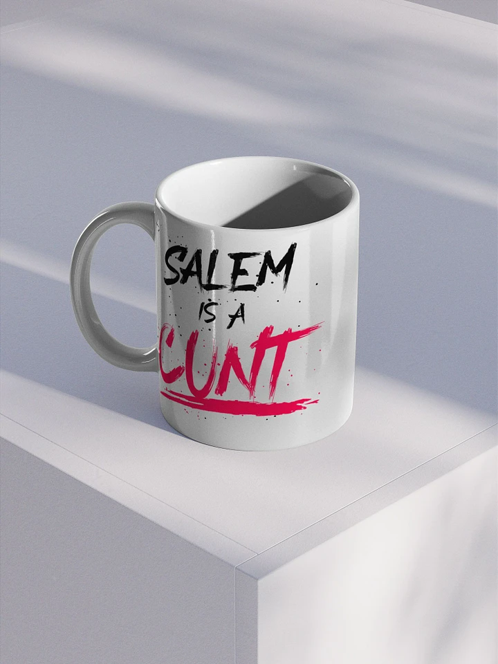 SALEM IS A C*NT [MUG] product image (1)