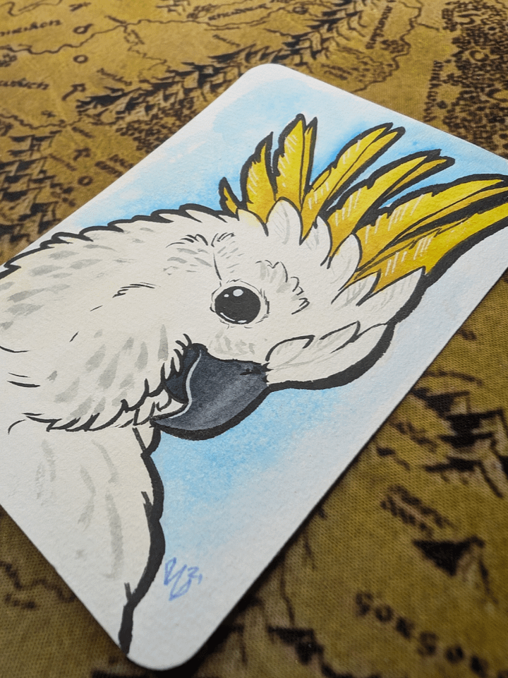 Cockatoo product image (2)