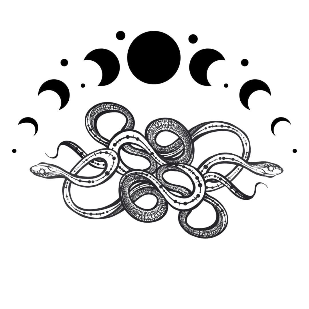 Star Well Tea (B) product image (3)