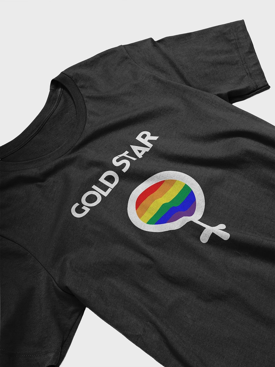 LGBTQ+ T-Shirt - Gold Star (dark) product image (3)