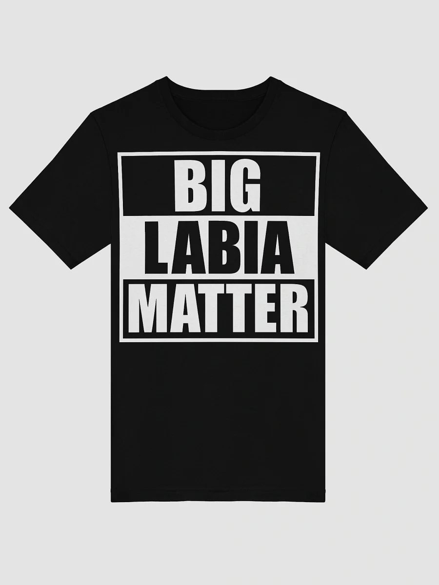 BIG LABIA MATTER T-SHIRT product image (4)