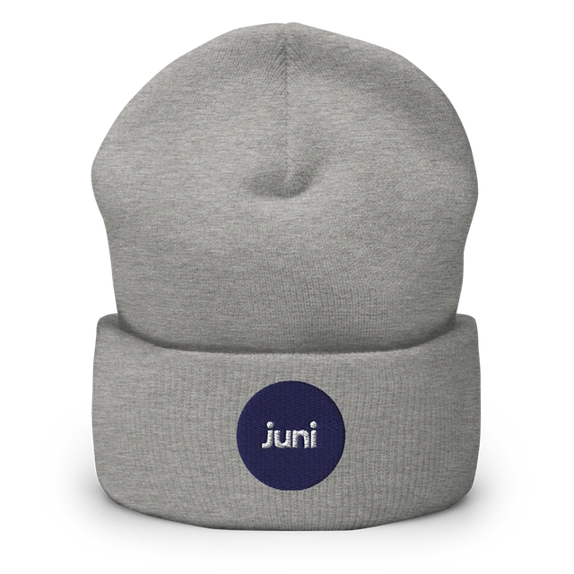 Juni Beanie, Grey product image (1)
