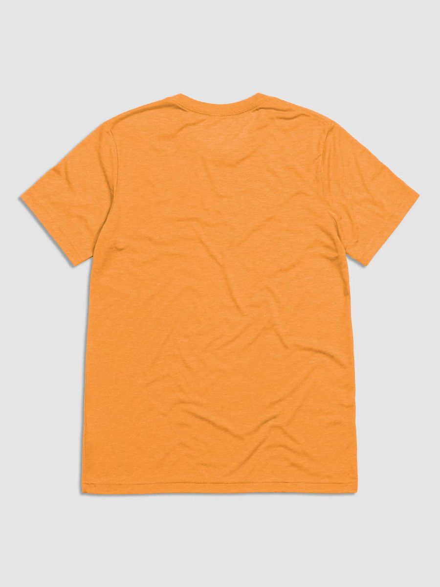 Natural Union Unisex Triblend T-Shirt product image (5)