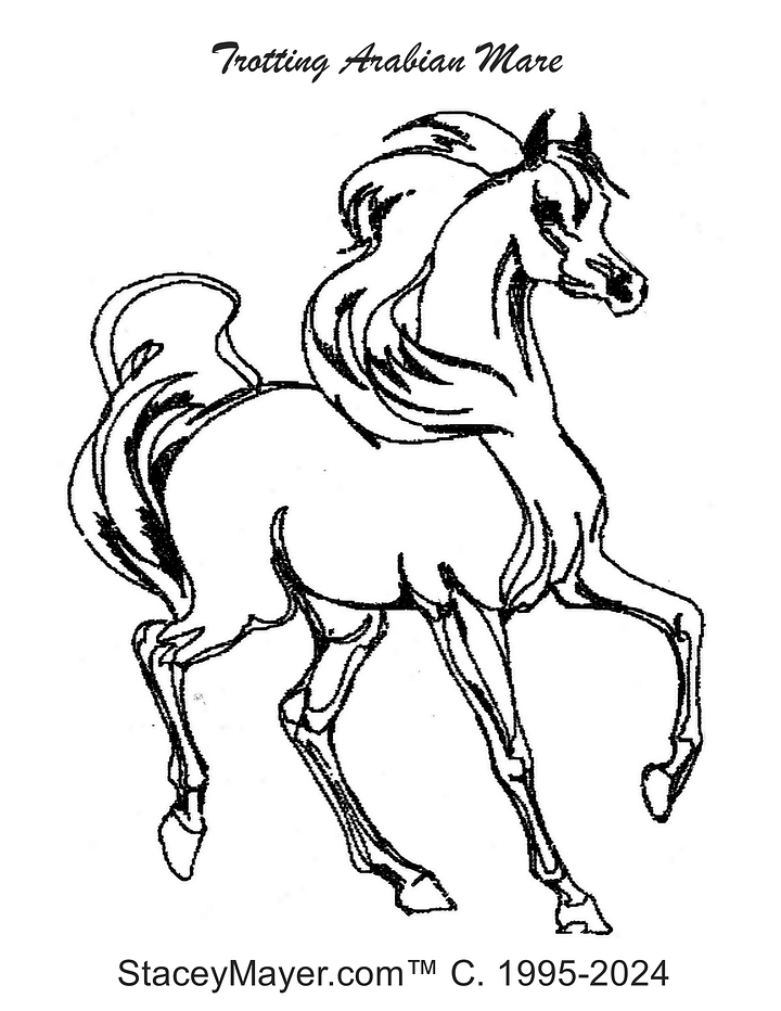 Stacey Mayer's Classic Horse Coloring Book product image (2)