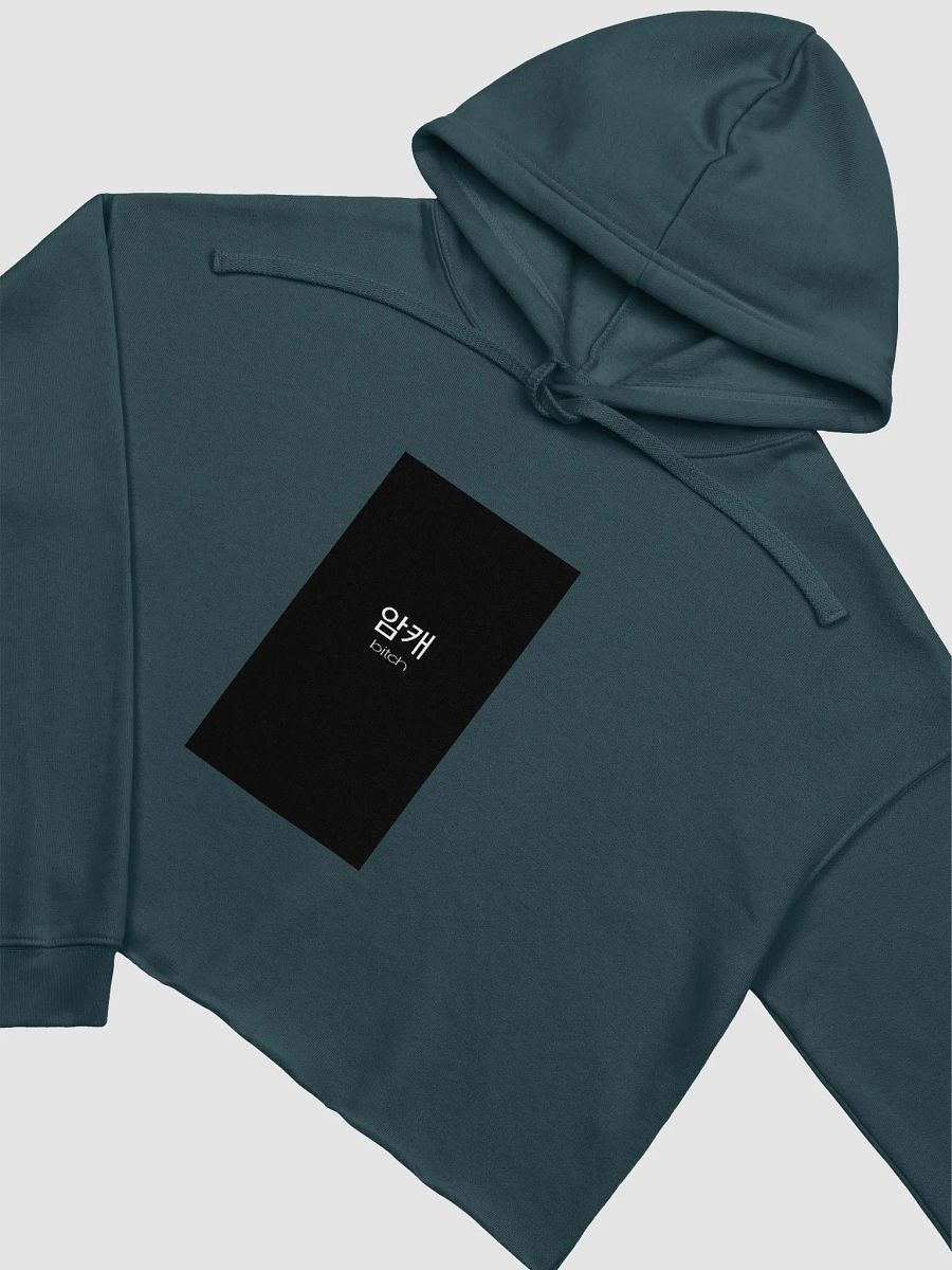 Korean Symbols Bitch Crop Hoodie product image (22)