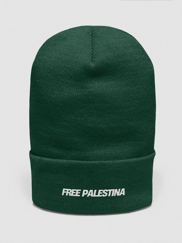 Abstract Minimalist Beanie FREE PALESTINA product image (2)