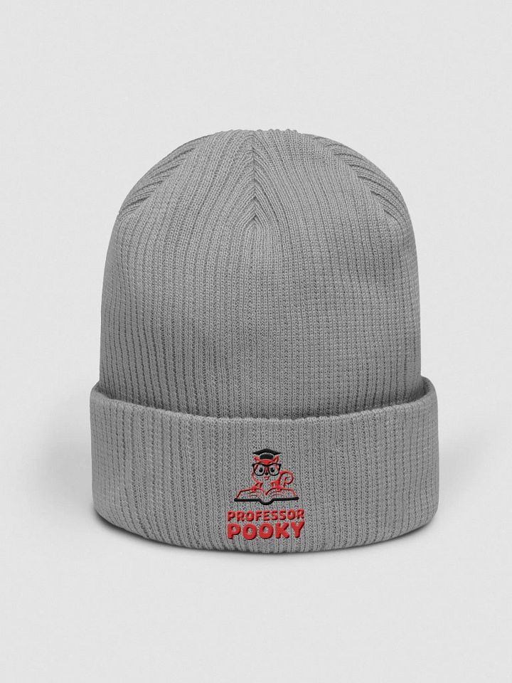 Organic Cotton Embroidered Beanie: Professor Pooky product image (1)