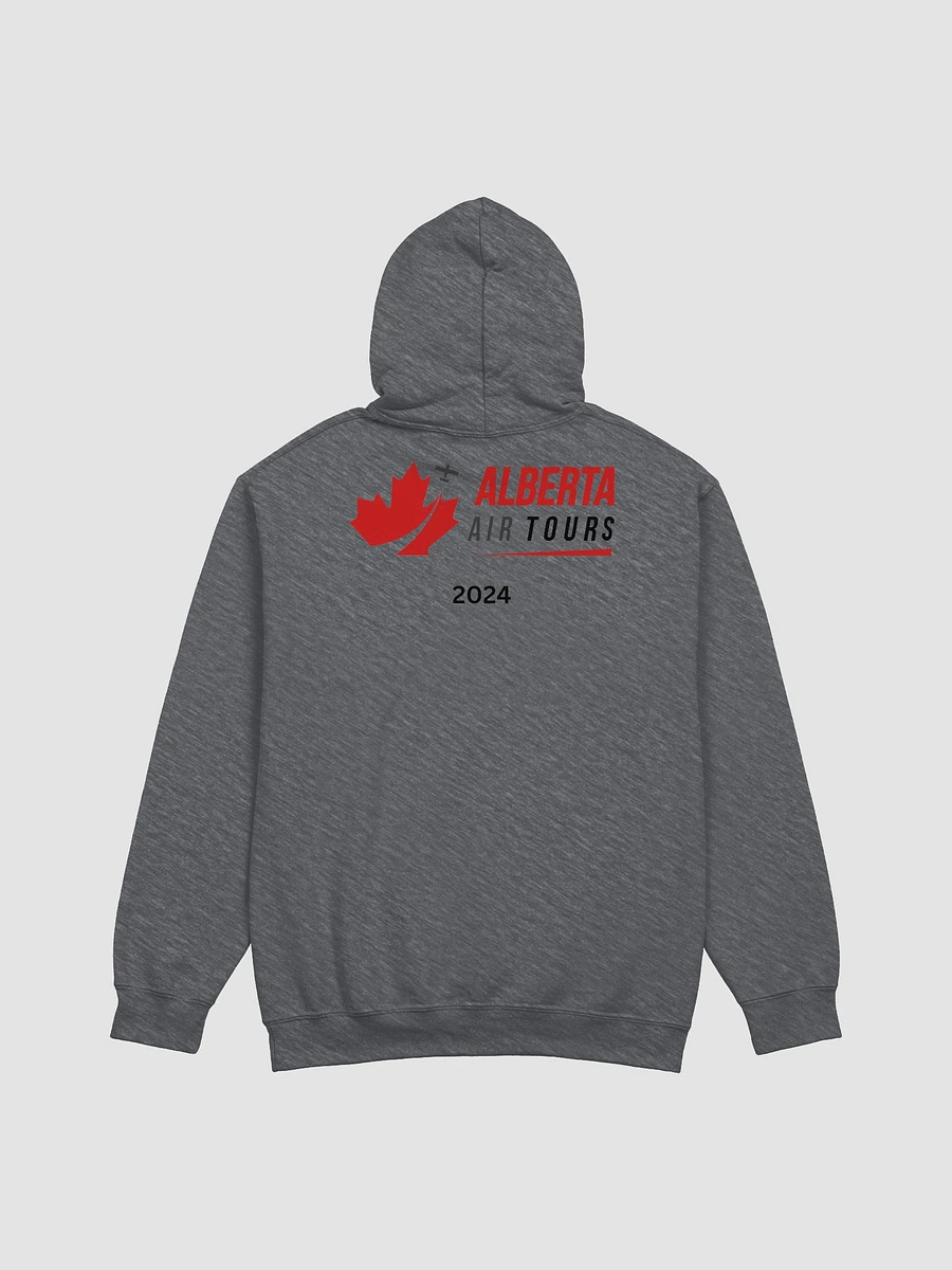 Grey Hoodie 2024 product image (3)