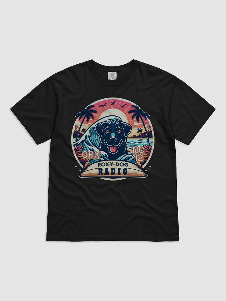 Roxy Dog Radio OBX NC 12 T-Shirt product image (1)