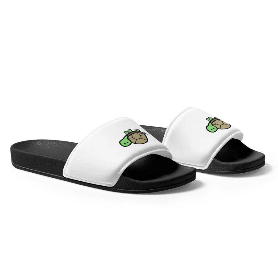 turtle flips product image (5)