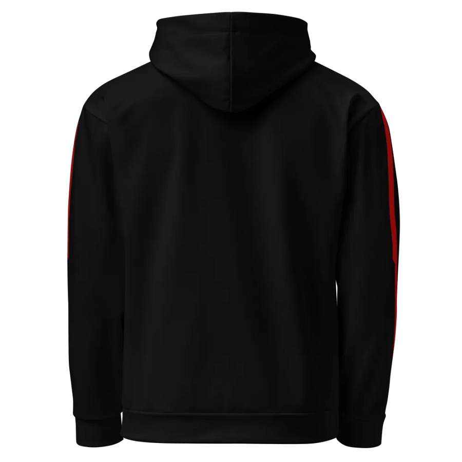 BLOOD RAVENS HOODIE product image (3)