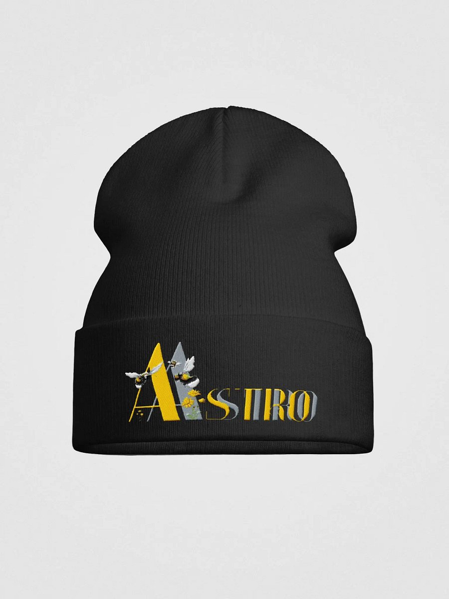 Astro Beanie product image (1)