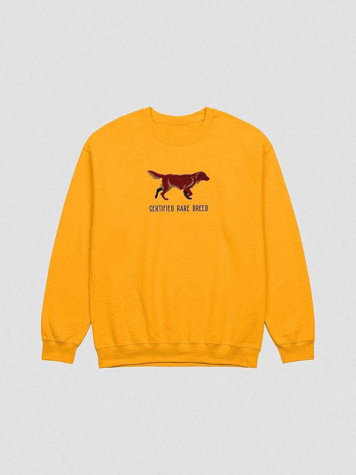 Certified Rare Breed Sweatshirt (Embroidered) of a Flat Coated Retriever(Chocolate) product image (10)