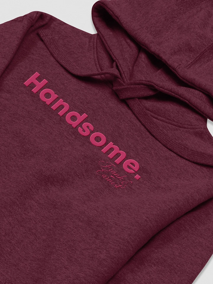 Handsome Embroidered Hoodie F&E1 product image (1)