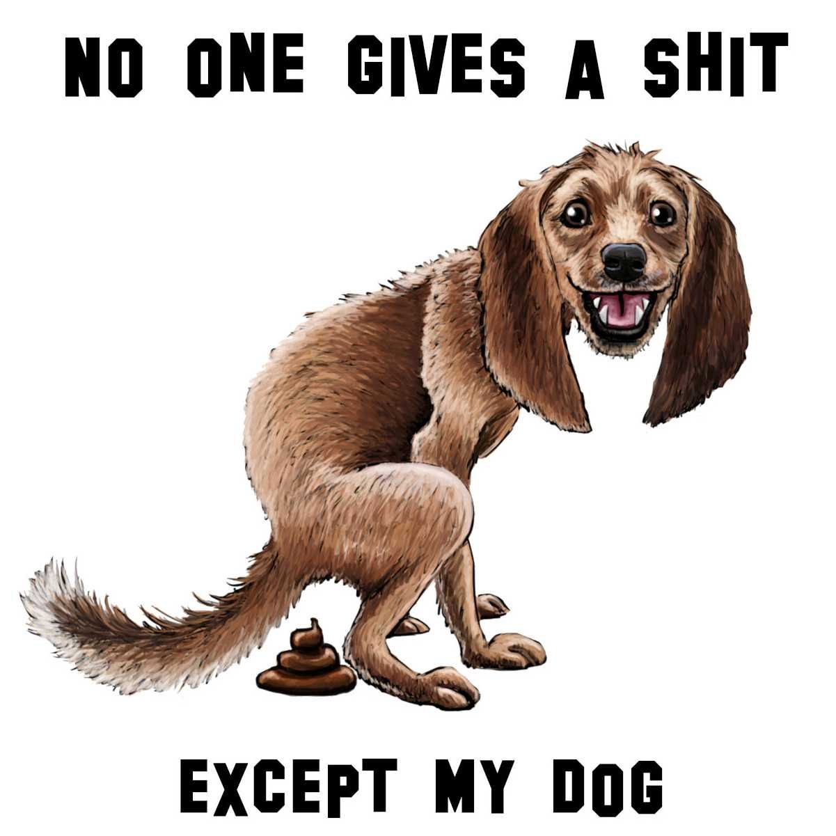 No one gives a shit, except my dog - A happy dog t-shirt product image (2)