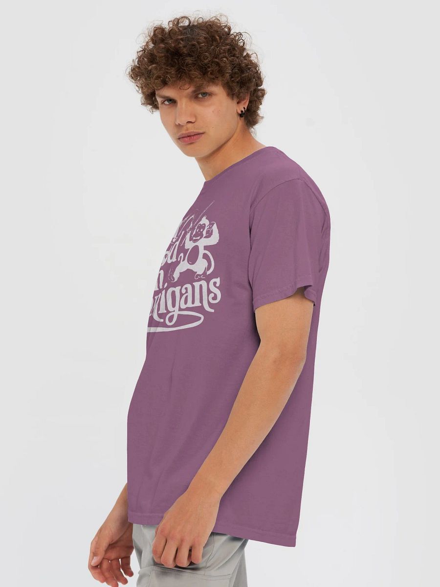Raised on Shenanigans T-shirt product image (5)