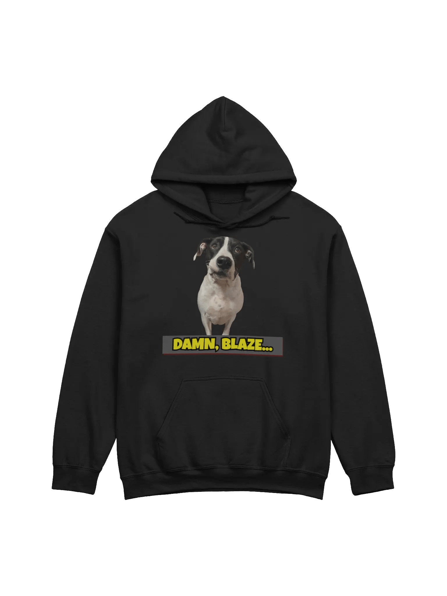 DAMN, BLAZE... Striped Swag Hoodie product image (6)