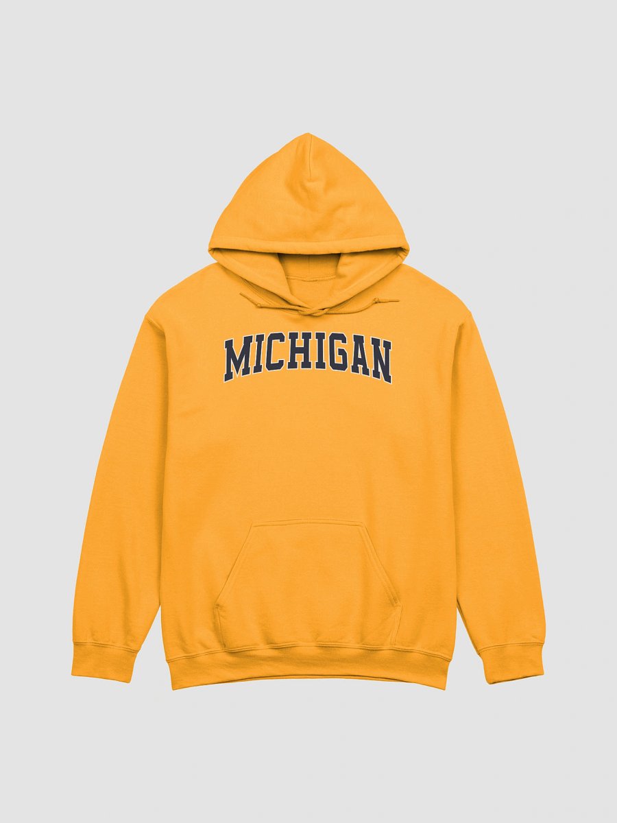 Michigan Vintage Stylish Classic Hoodie product image (1)