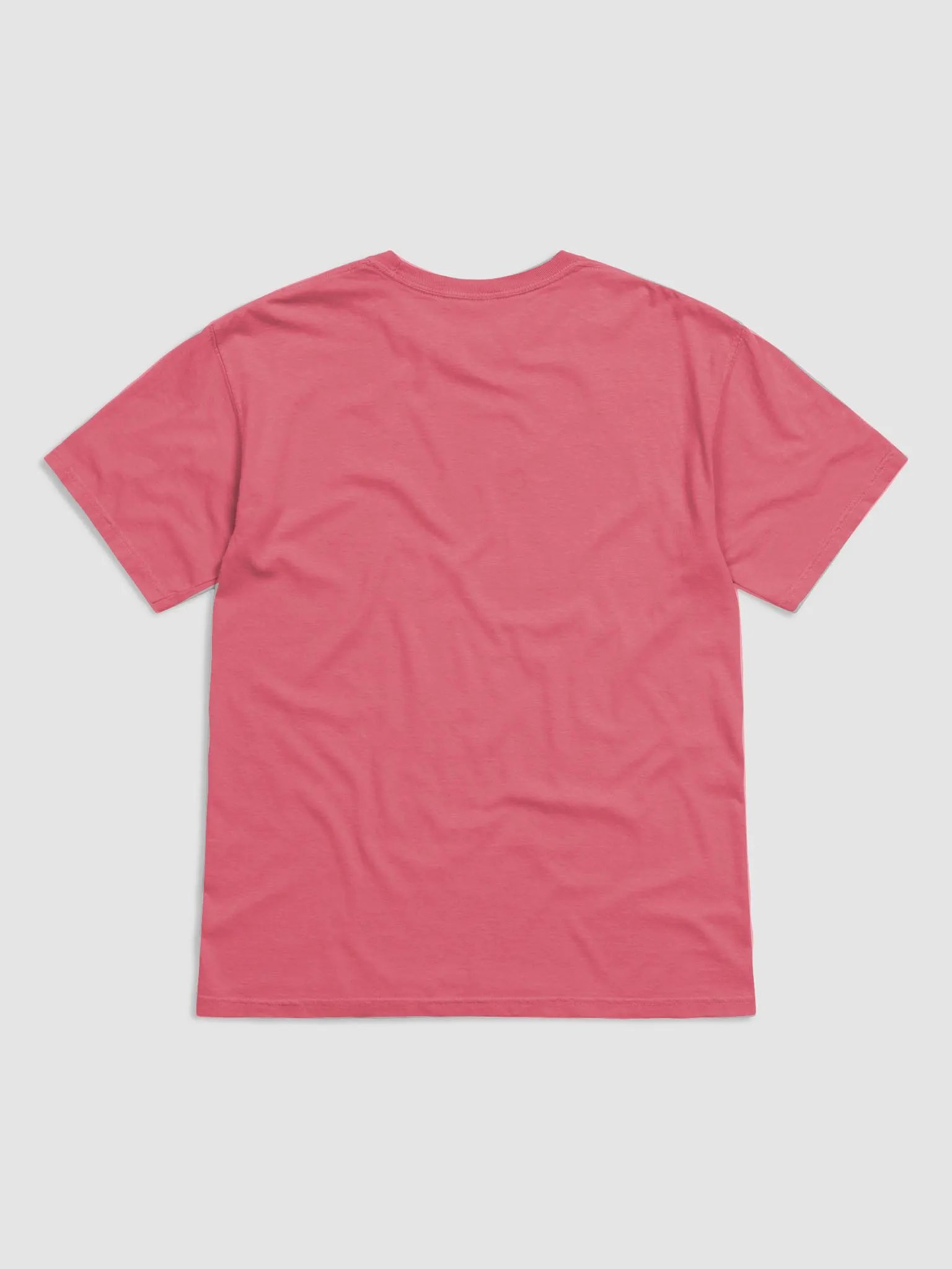 Cozy PRIDE Tee product image (3)