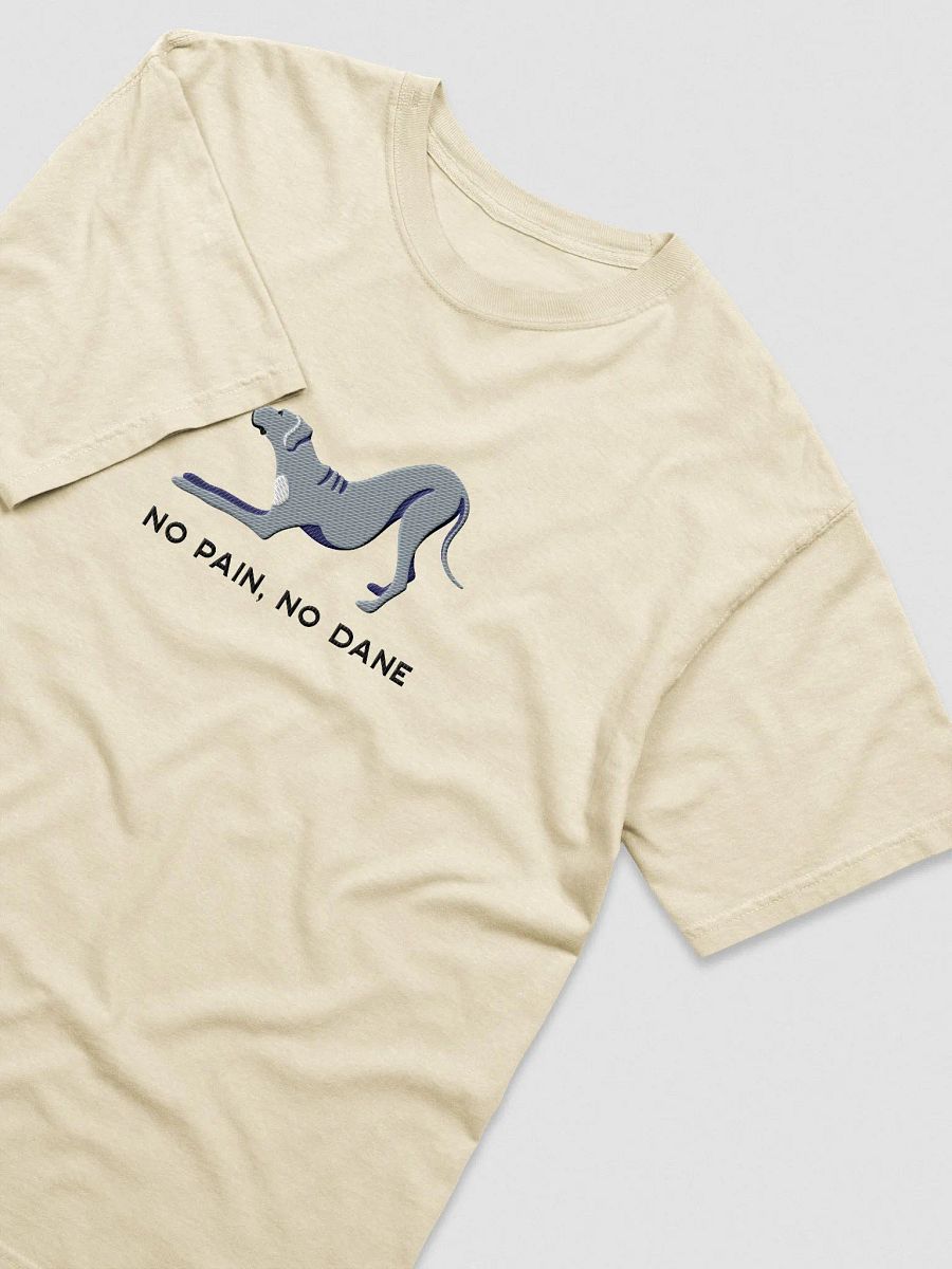 No Pain, No Dane T-Shirt(Embroidered) of a Great Dane(Blue) product image (6)