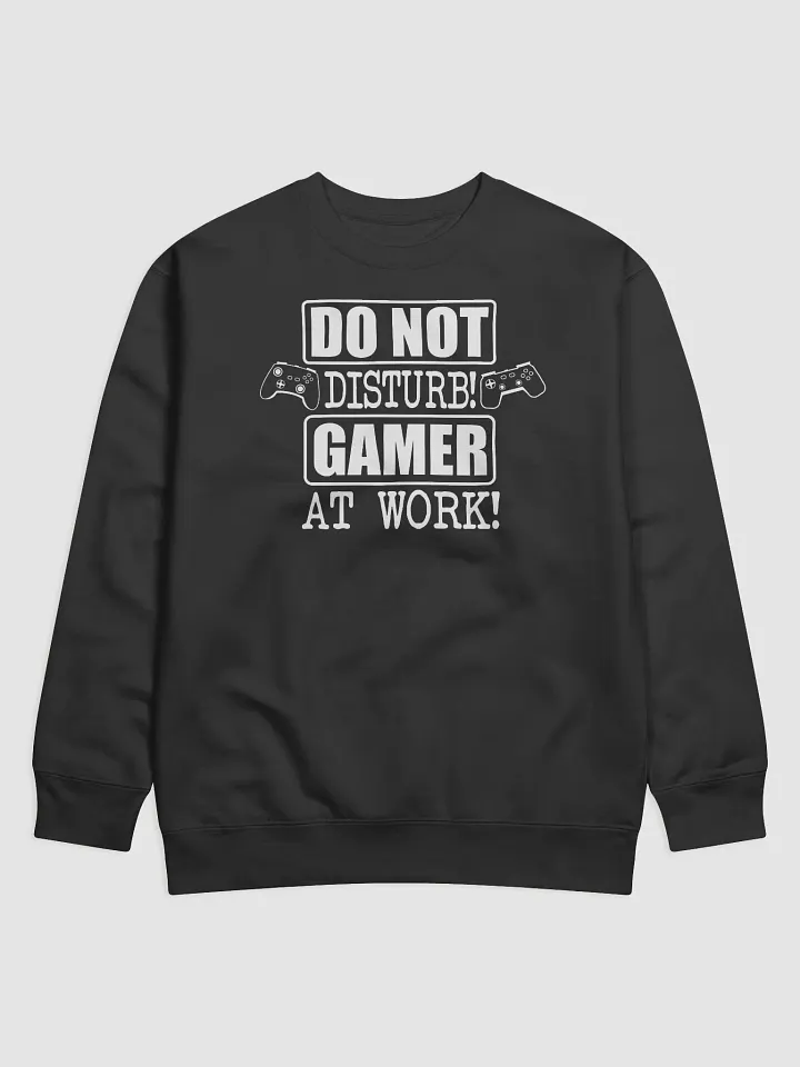 Do Not Disturb Gamer At Work Hoodie product image (1)
