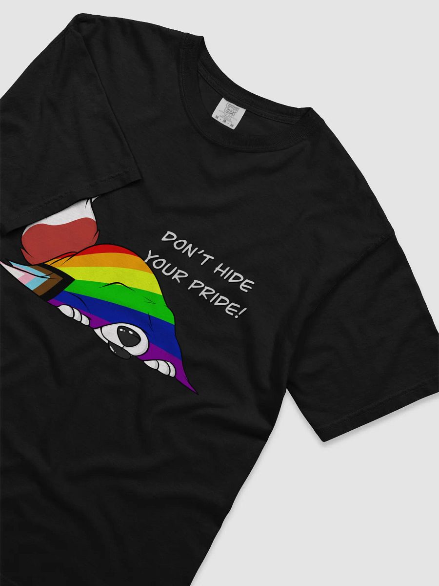 Dont Hide YOUR PRIDE!!! product image (3)