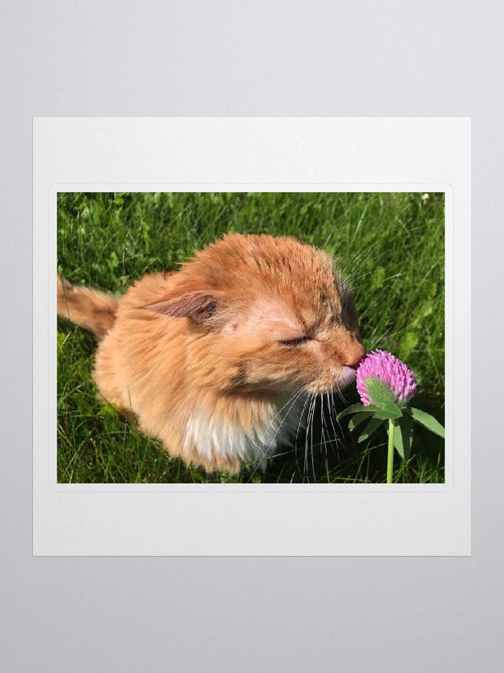 Flower Boy Sticker product image (1)