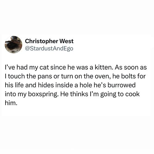 who knows what goes on in those tiny walnut brains