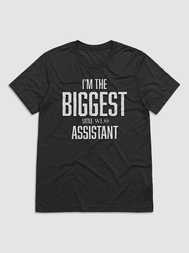 Little Big Assistant WLO Shirt product image (3)