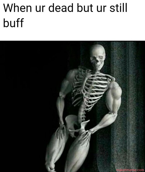 mystery meme product image (1)