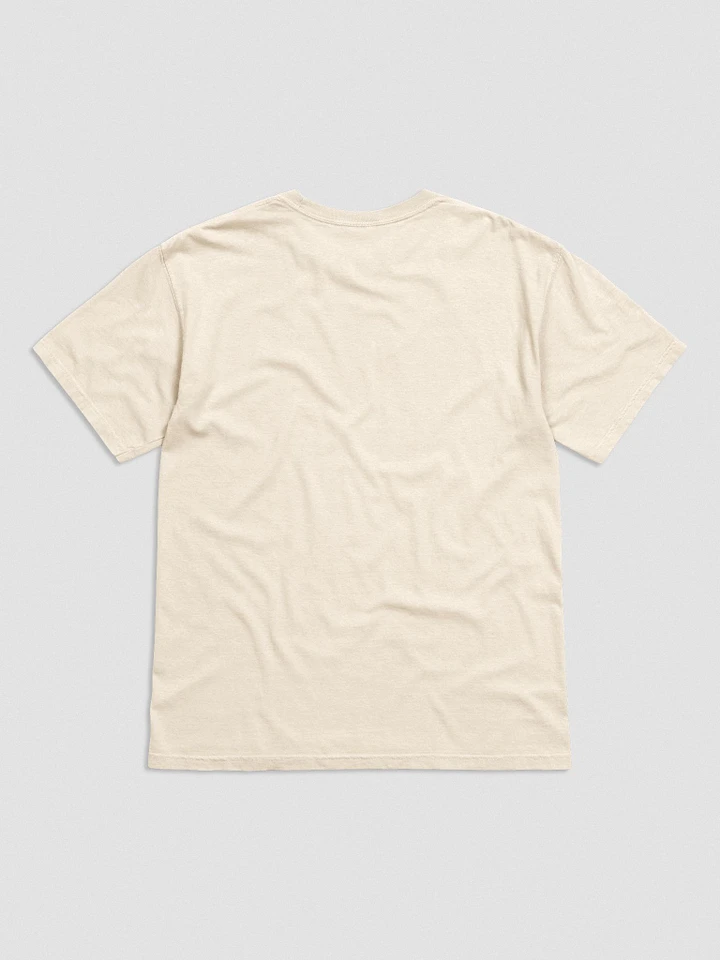 Toonen to Dillon Embroidered Tee product image (2)