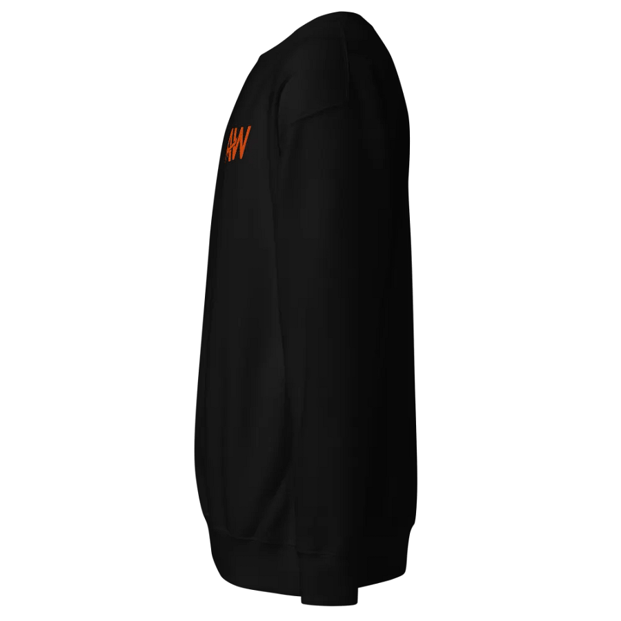 AW Embroidered Premium Sweatshirt product image (13)