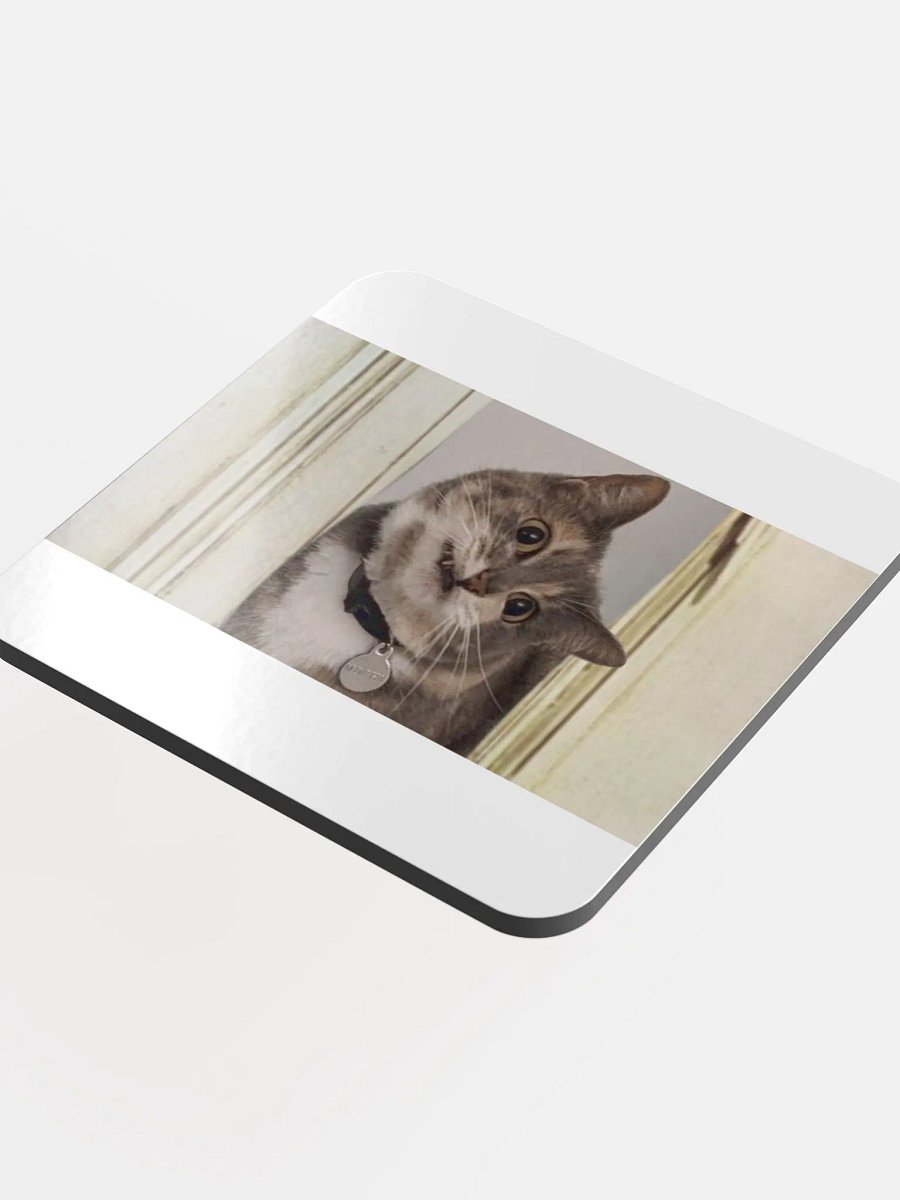 Here's.. a Mochi Coaster! product image (4)