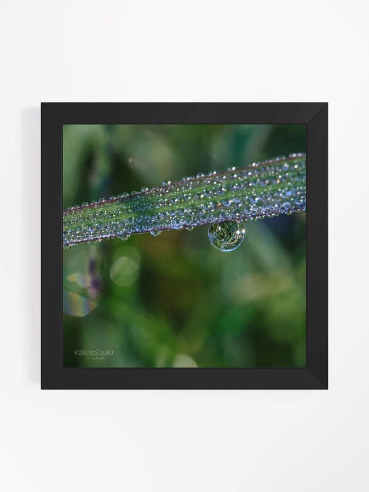 Dew Gems #3 - Framed Print product image (1)
