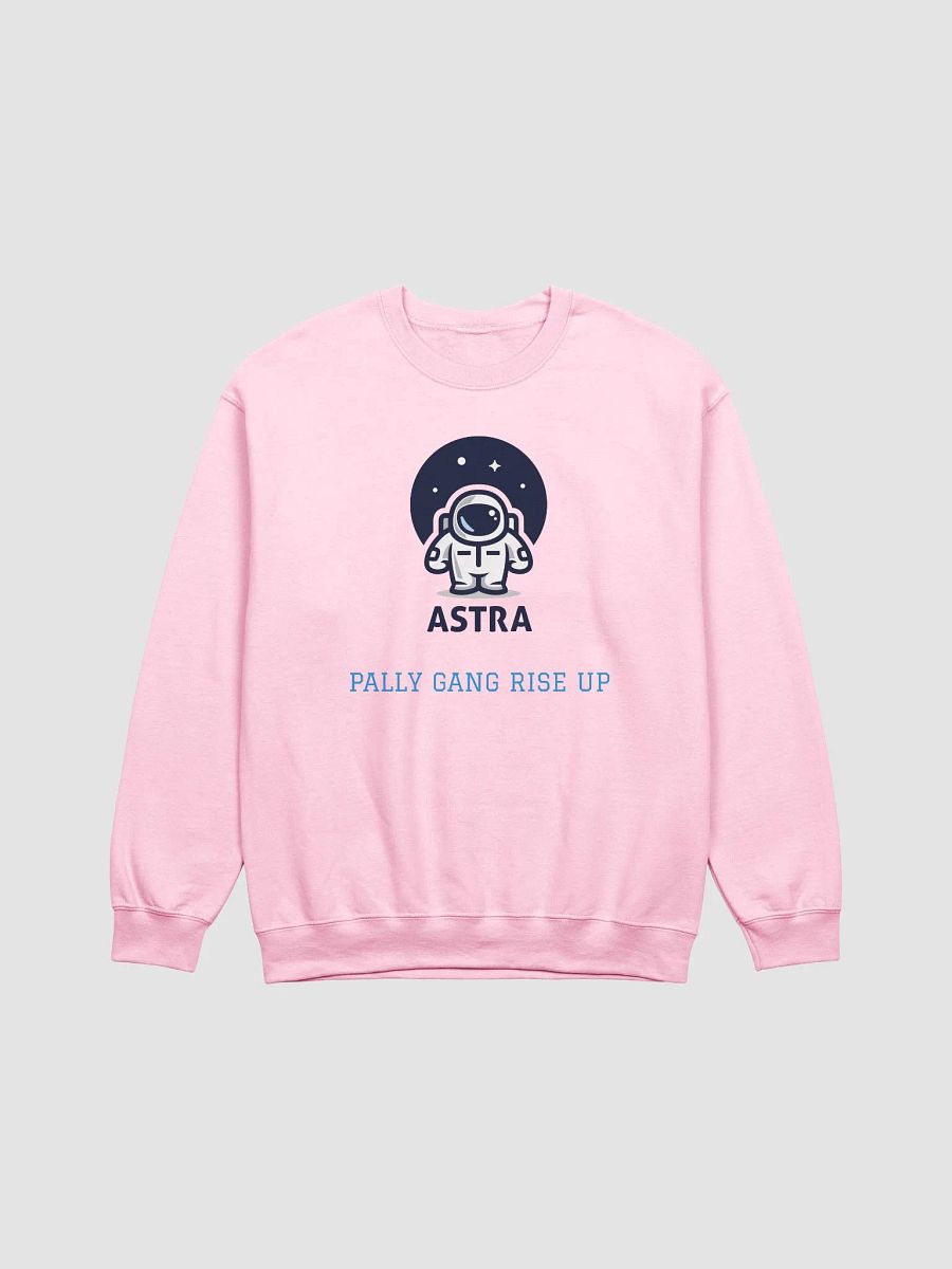The Zhiera Sweatshirt for all Pally Pals! product image (1)