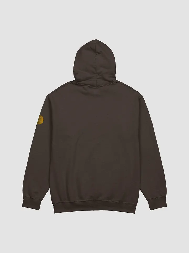 Hawai'i Volcanoes National Park eco friendly hoodie product image (2)