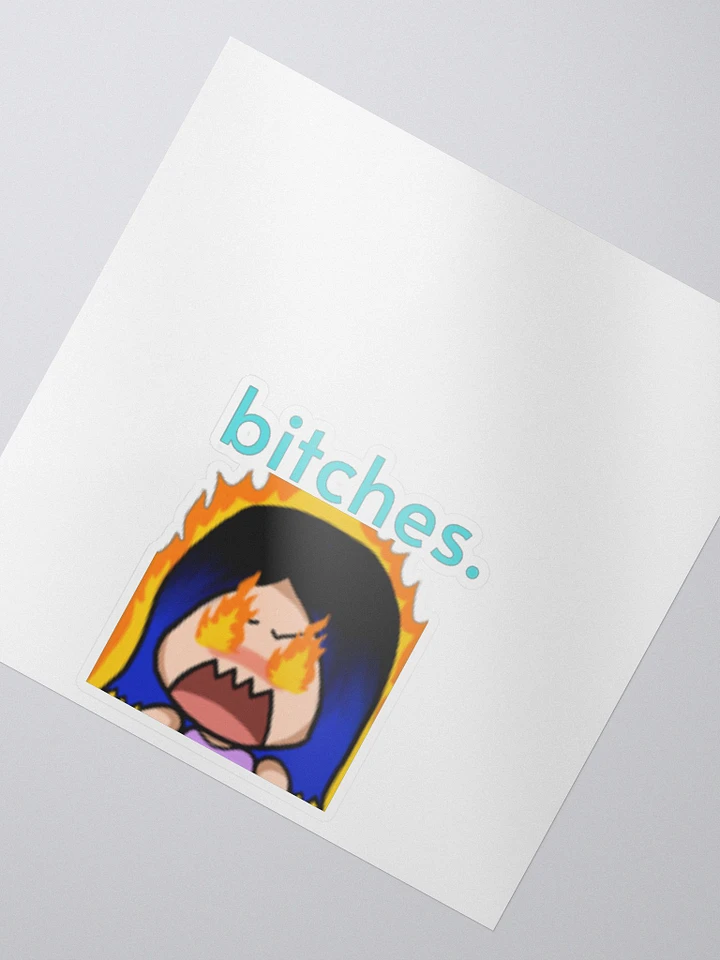 bitches sticker product image (2)