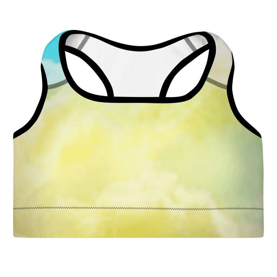 Blur cloud rainbow Design Padded Sports Bra - v8 product image (3)