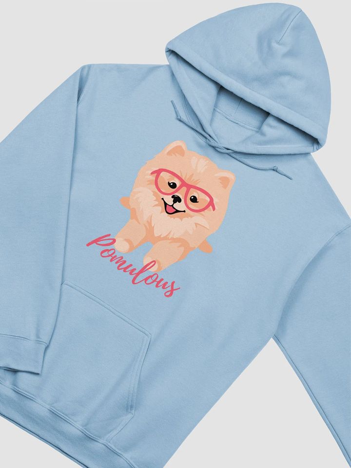 Fabulous Pomeranian Classic Hoodie product image (19)