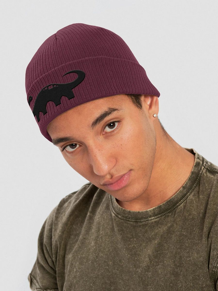 Flam's Dino Beanie product image (23)