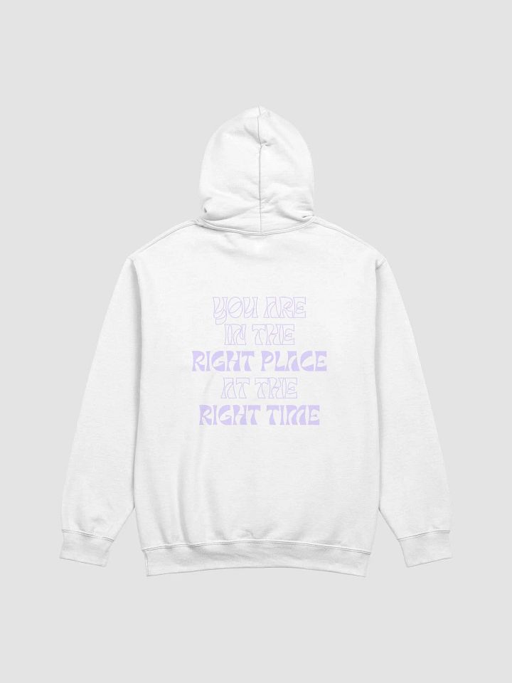222 hoodie product image (3)