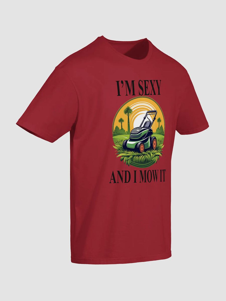 Men's Sexy Tee product image (5)
