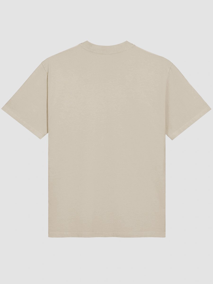 AS Colour Premium Oversized Faded T-Shirt: fly product image (14)