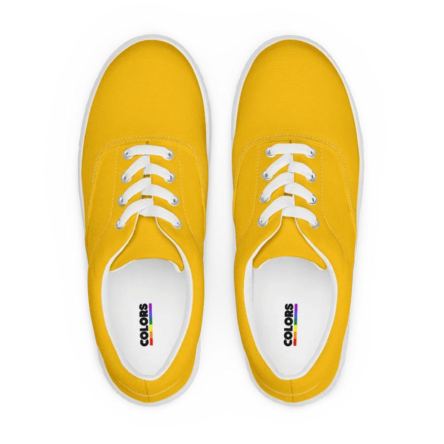 Men's Amber Lace-Up Canvas Shoes product image (2)